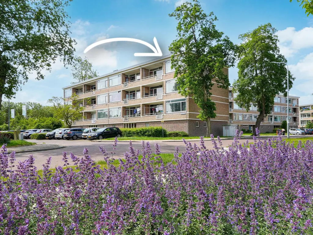 Adriaen Lauwereyszstraat 91, MIDDELBURG