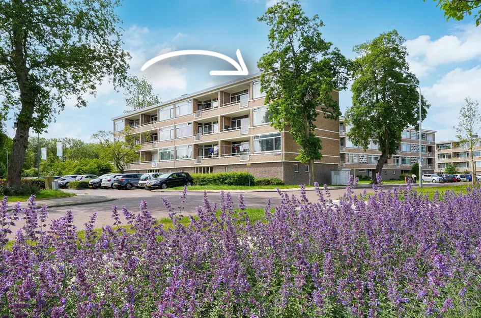 Adriaen Lauwereyszstraat 91