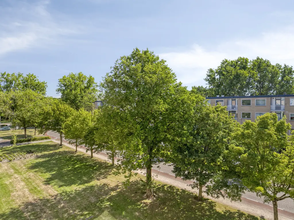 Pieter Boddaertstraat 34, MIDDELBURG