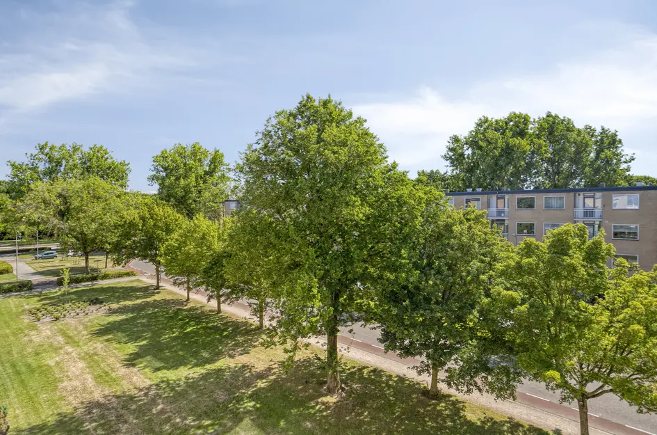 Pieter Boddaertstraat 34