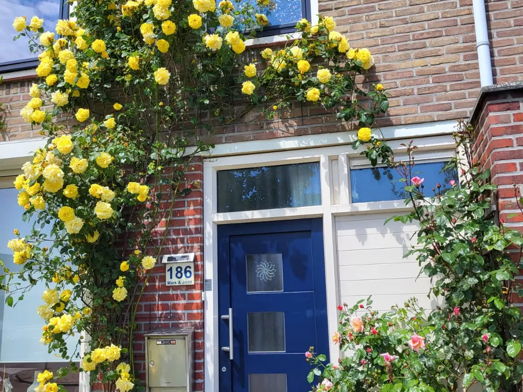 Burgemeester Stemerdinglaan 186, OOST-SOUBURG