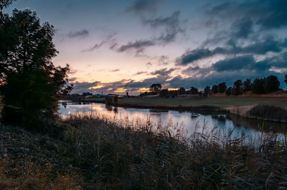 Duke Ellingtonstraat 40