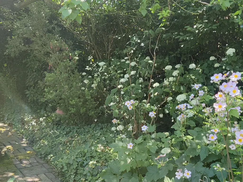 Hondegemsweg 1, GRIJPSKERKE