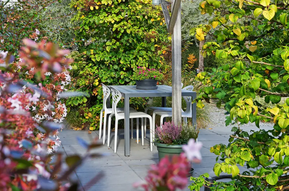 Isaac Beeckmanstraat 6