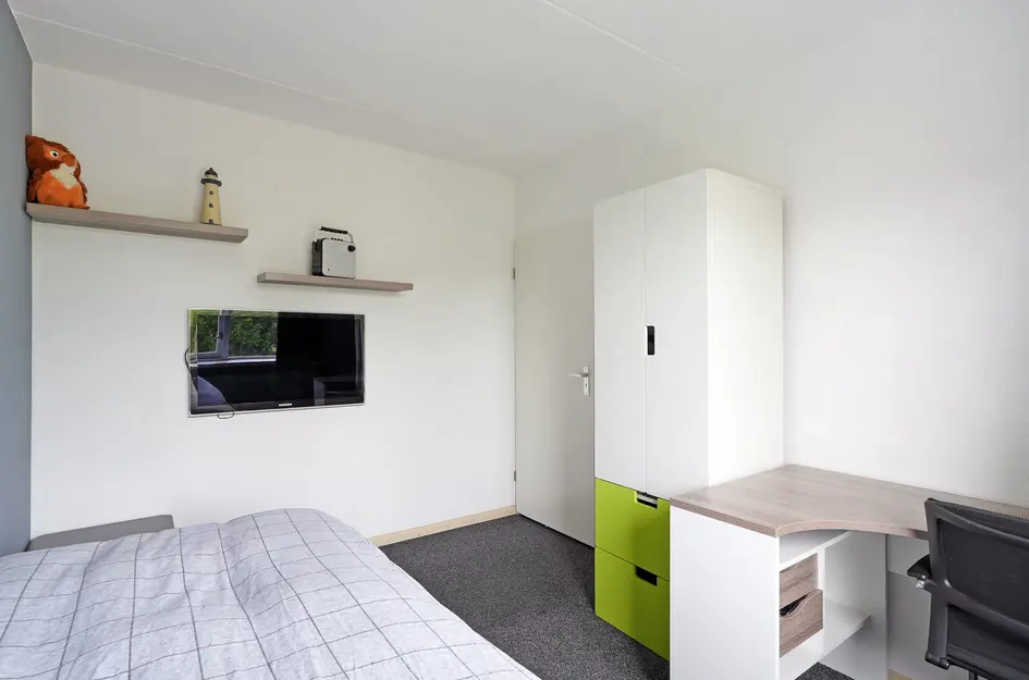 Simon de Vliegerlaan 36a