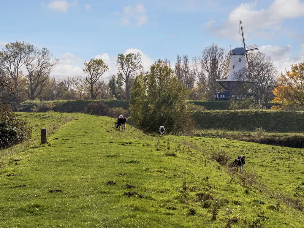 Zwanenlaan 6R, VEERE