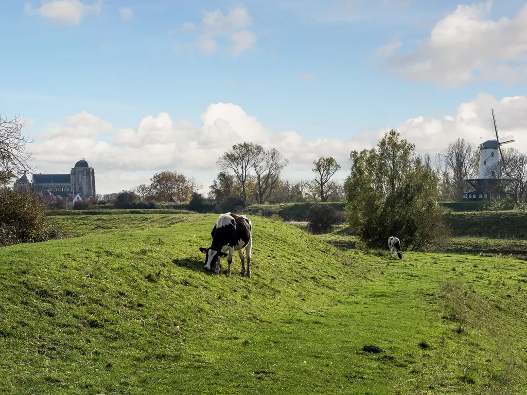 Zwanenlaan 6R, VEERE