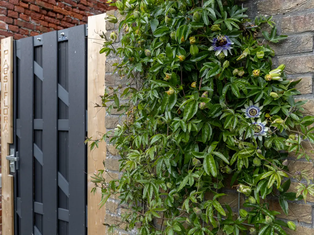 Vrijburgstraat 10, VLISSINGEN