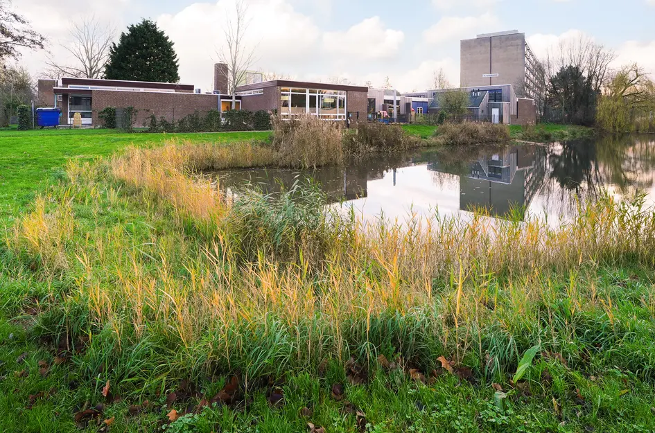 President Wilsonlaan 15