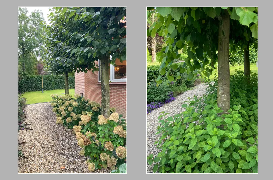 Frans Duwaerstraat 3