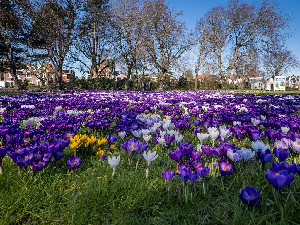 Vrijdomweg 12, VLISSINGEN