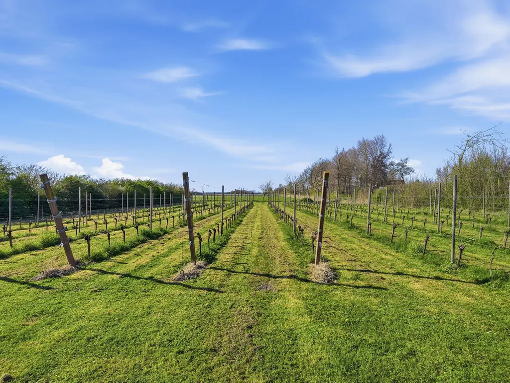 Hogelandseweg 2, GRIJPSKERKE
