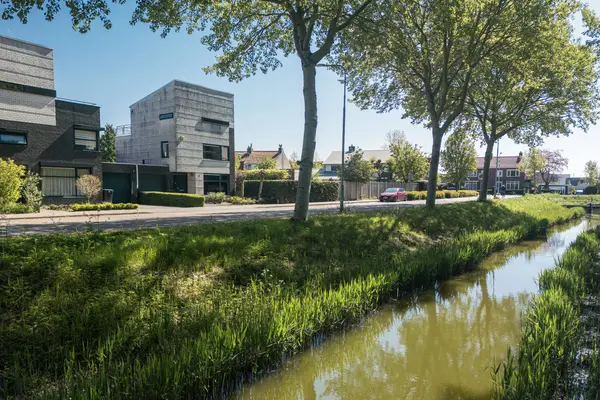 Scholeksterstraat 2