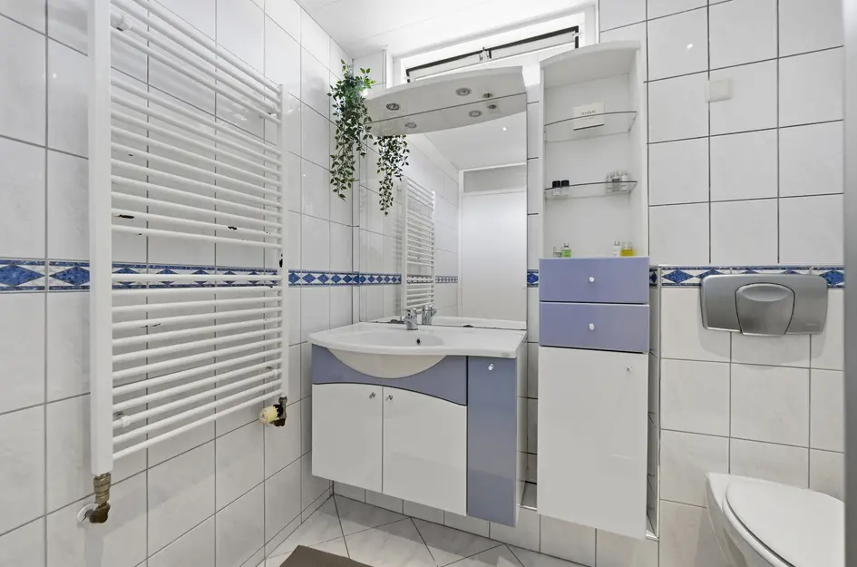 Van Ginkelstraat 33