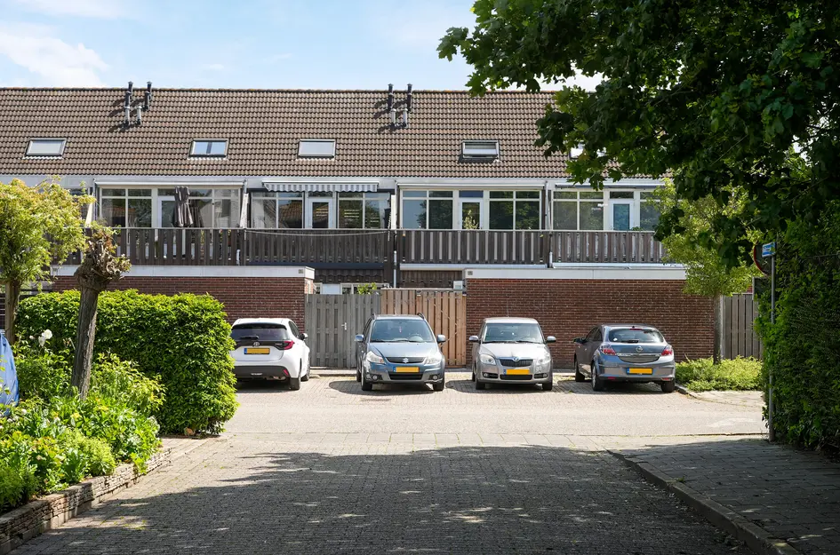 Kanariesprenk 11
