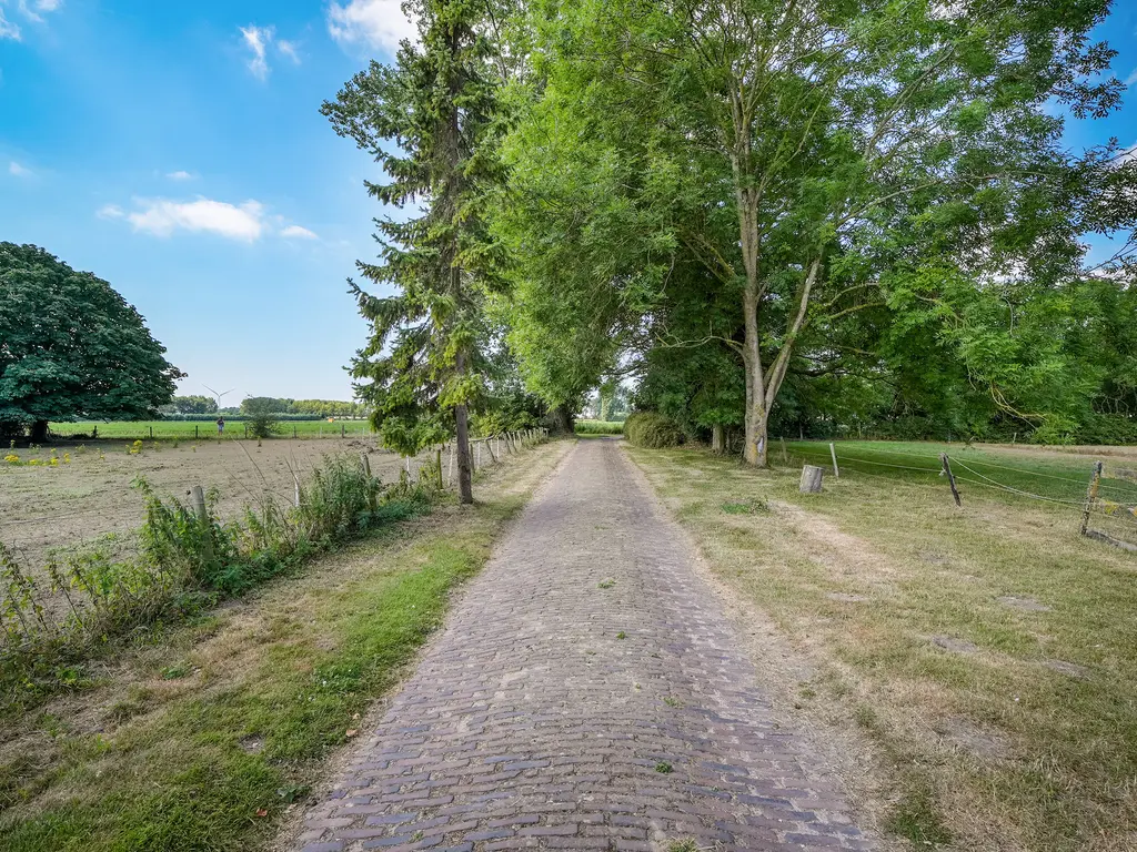Quarleshavenstraat 31, NIEUW- EN SINT JOOSLAND