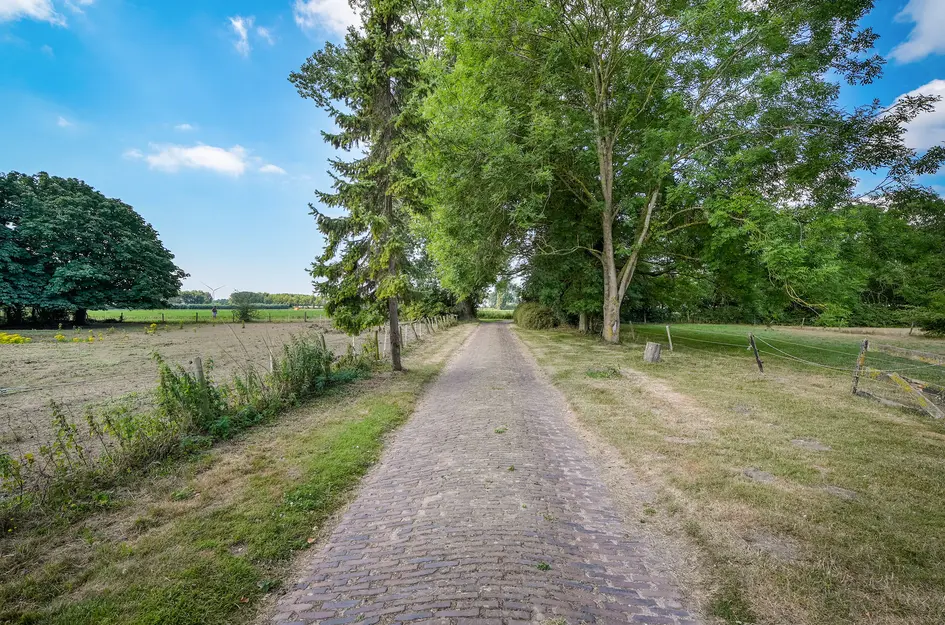Quarleshavenstraat 31