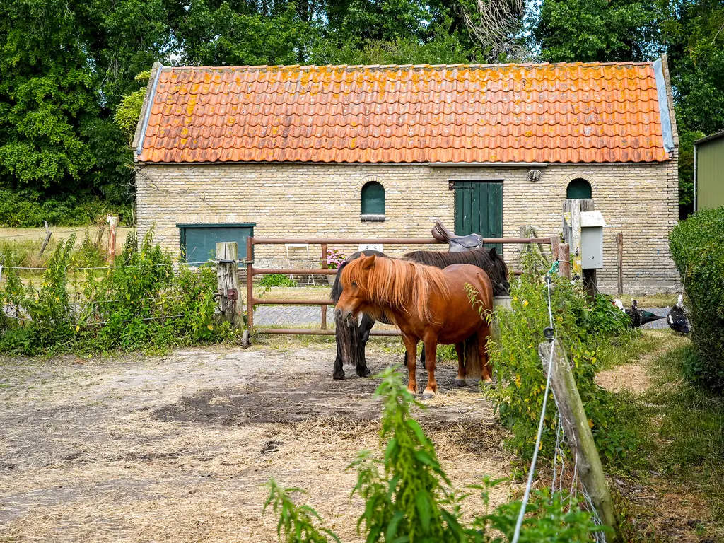 Quarleshavenstraat 31, NIEUW- EN SINT JOOSLAND