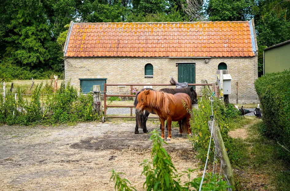 Quarleshavenstraat 31