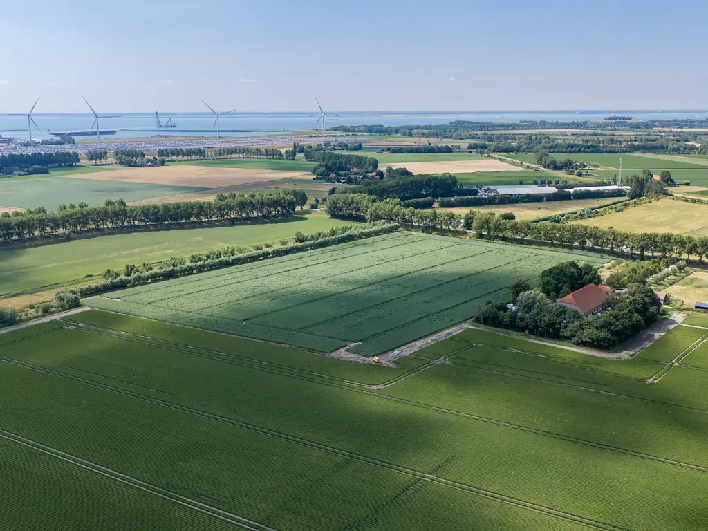 Quarleshavenstraat 31, NIEUW- EN SINT JOOSLAND