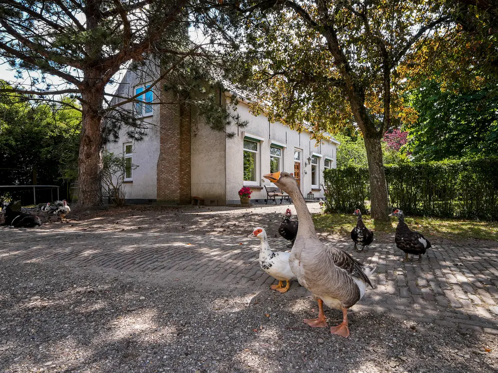 Quarleshavenstraat 31, NIEUW- EN SINT JOOSLAND