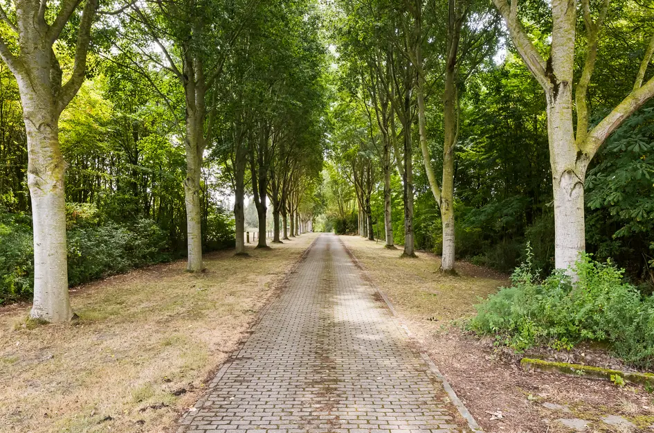 Breeweg 4B