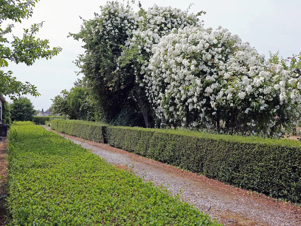 Ter Poorteweg 2, KOUDEKERKE
