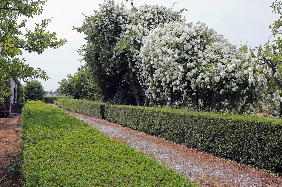 Ter Poorteweg 2