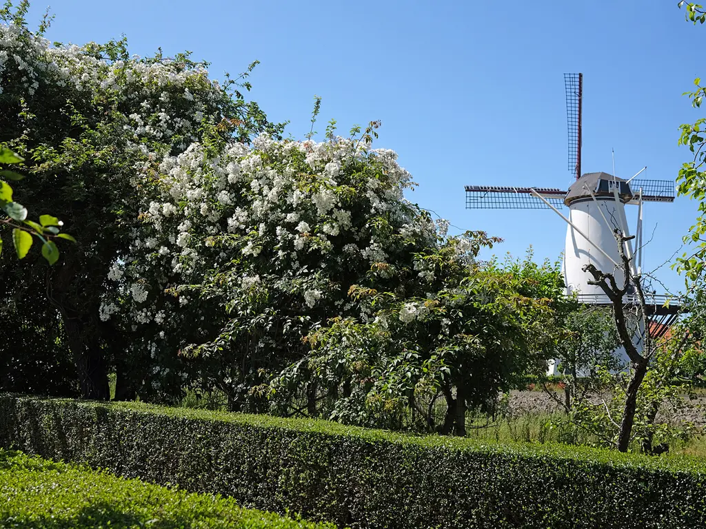 Ter Poorteweg 2, KOUDEKERKE