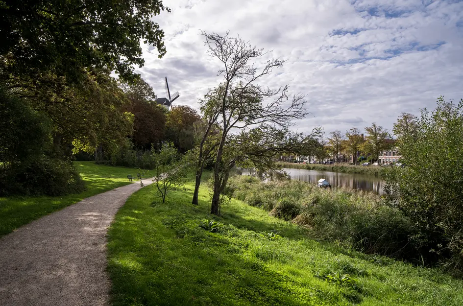 Zandstraat 8
