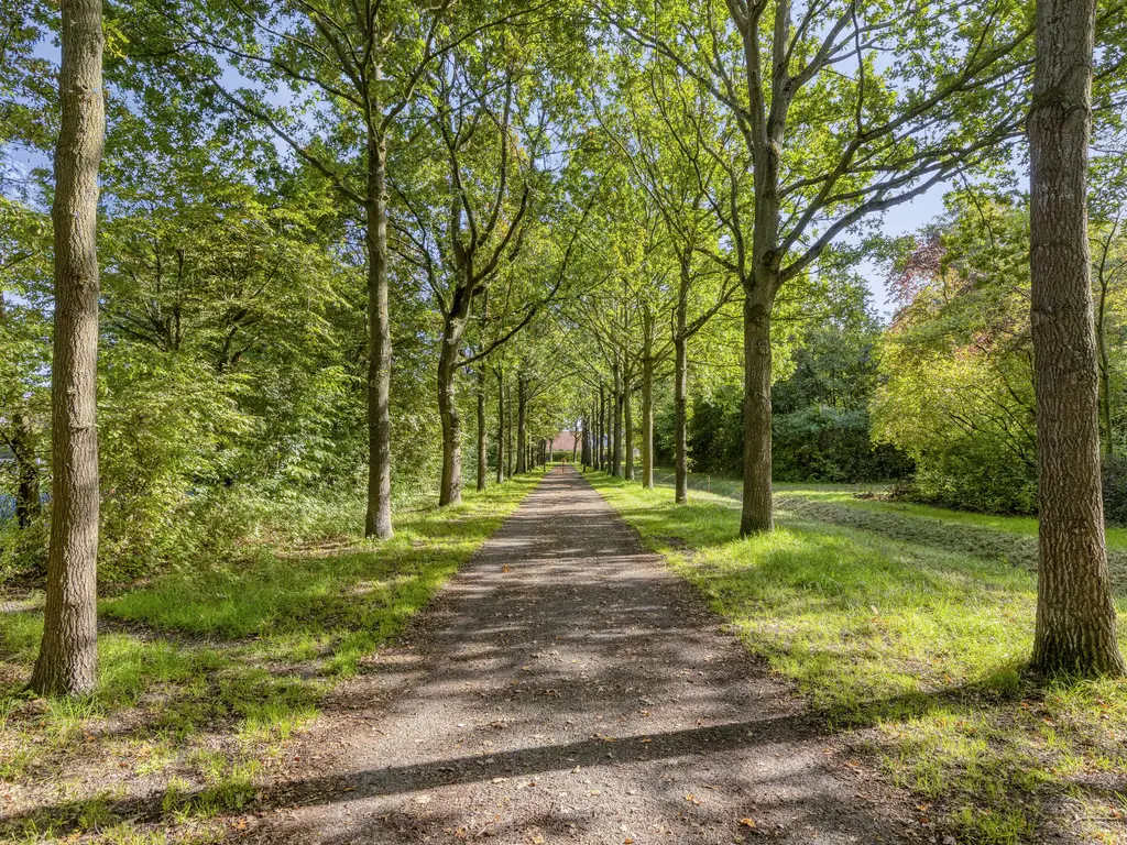 Havenweg 54, NIEUWDORP