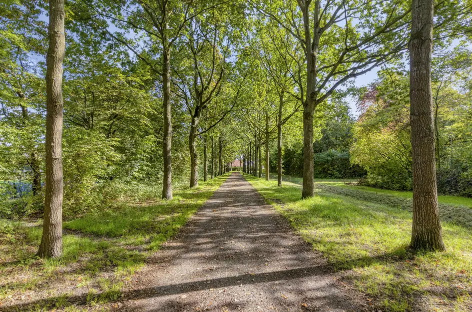 Havenweg 54
