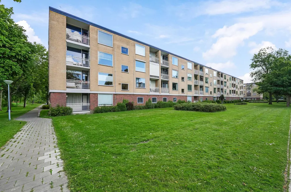 Pieter Boddaertstraat 16