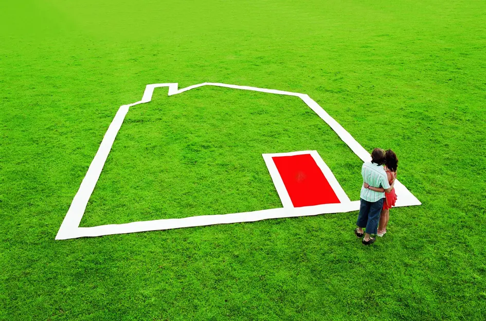 Vrije kavel Kokmeeuw