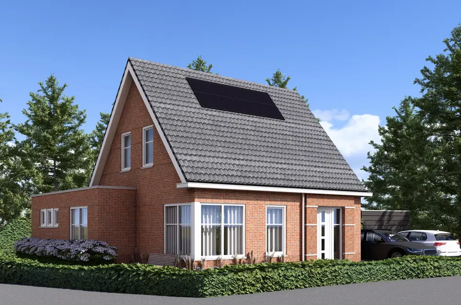 Vrije kavel Kokmeeuw