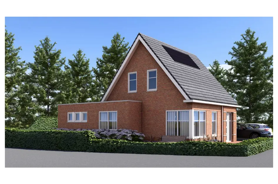 Vrije kavel Kokmeeuw