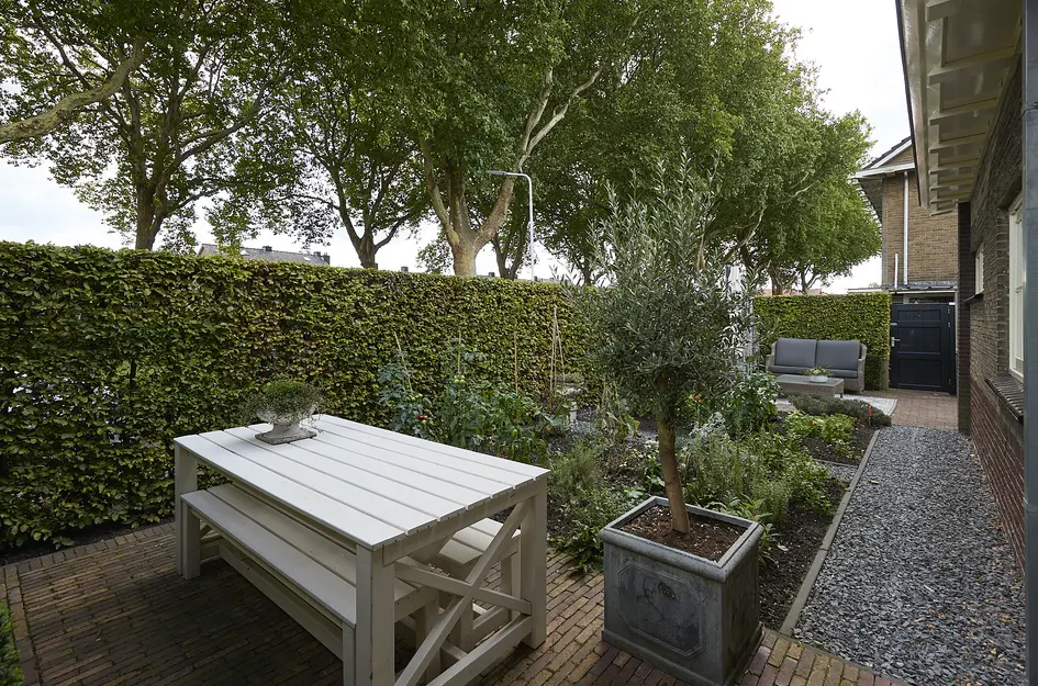 Wilhelminaplantsoen 24