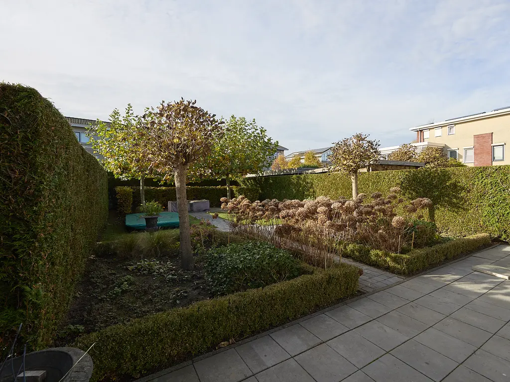 Roerdomp 2, TERNEUZEN