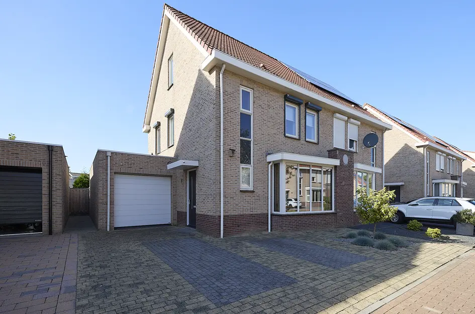 Aalscholver 23