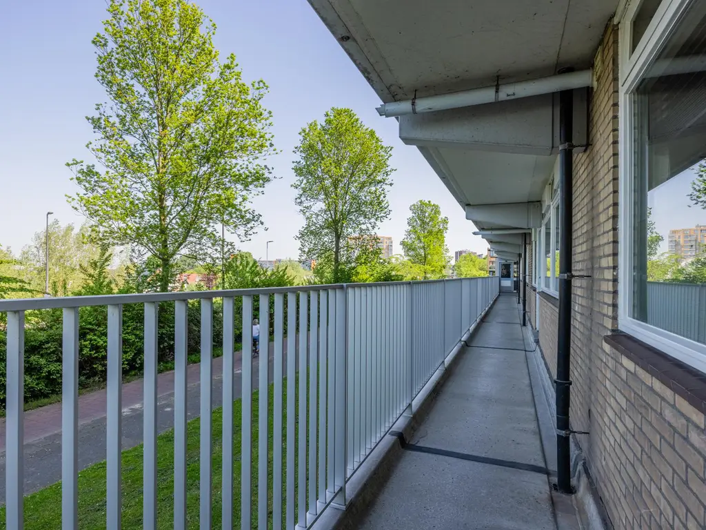 Zwaluwstraat 56, MAASSLUIS