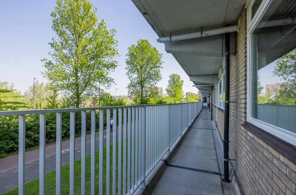 Zwaluwstraat 56