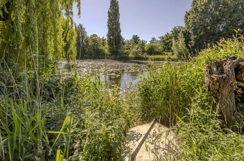 Polderweg 258