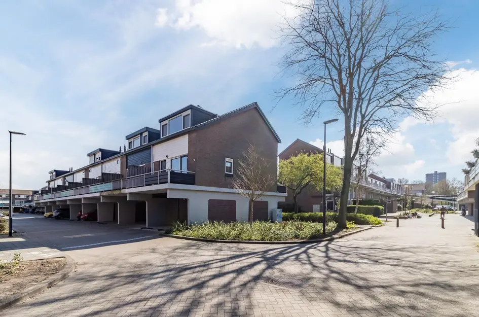 Schouw 39
