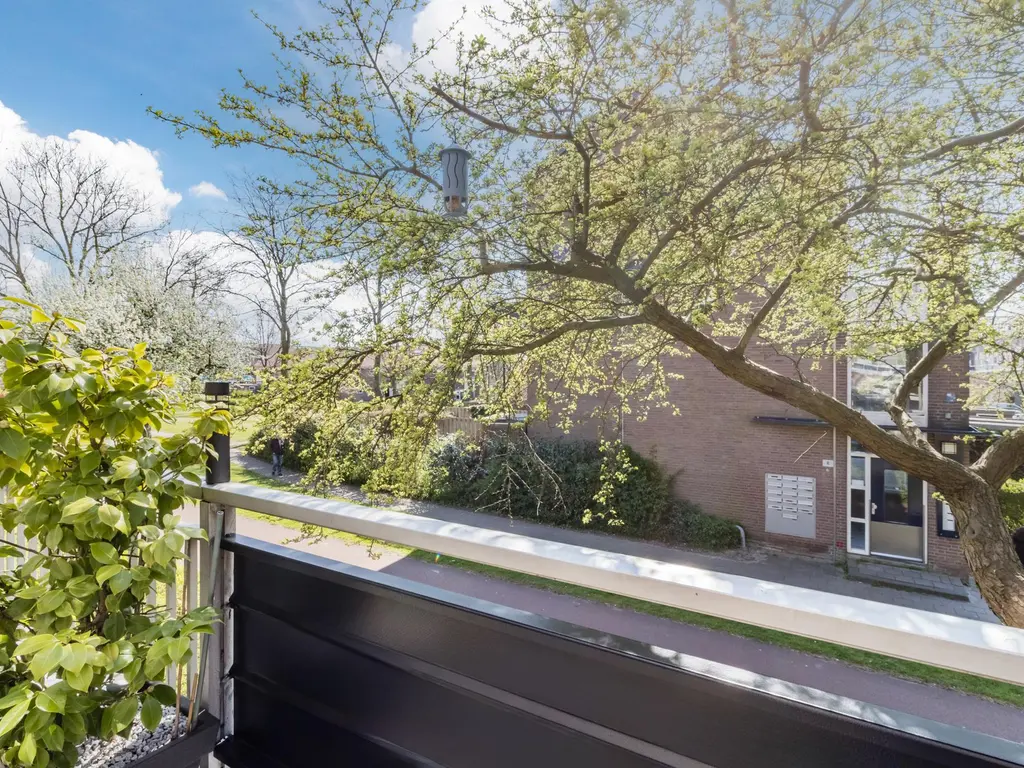 Schouw 39, SCHIEDAM