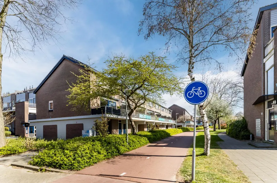 Schouw 39
