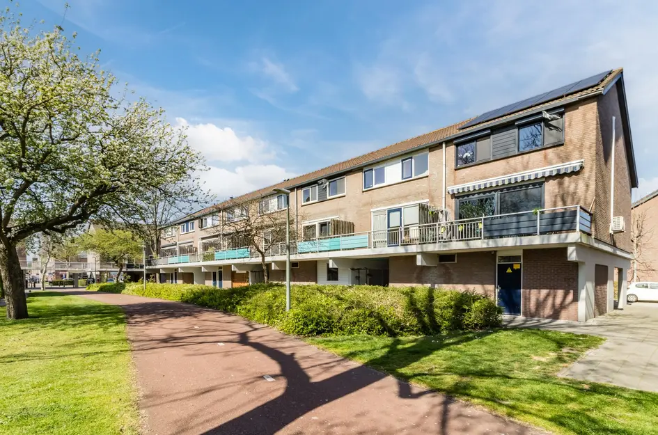Schouw 39