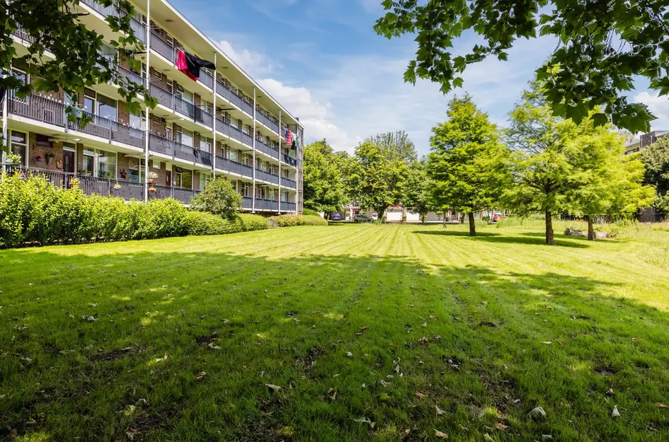 van der Werffstraat 324