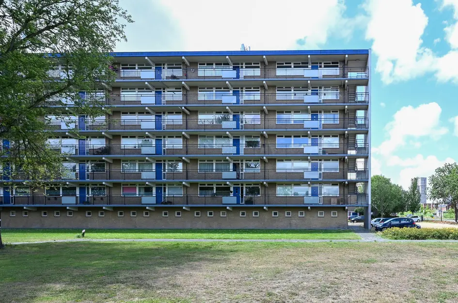 Buizerdstraat 262