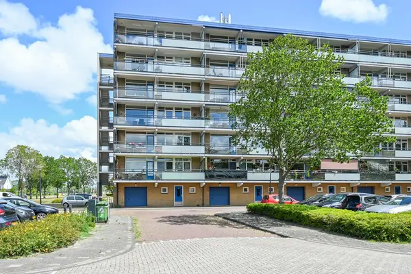 Buizerdstraat 262