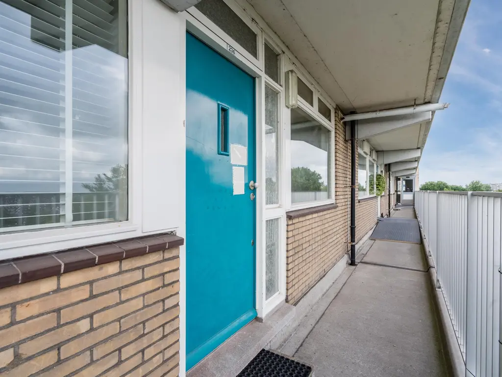 Zwaluwstraat 234, MAASSLUIS